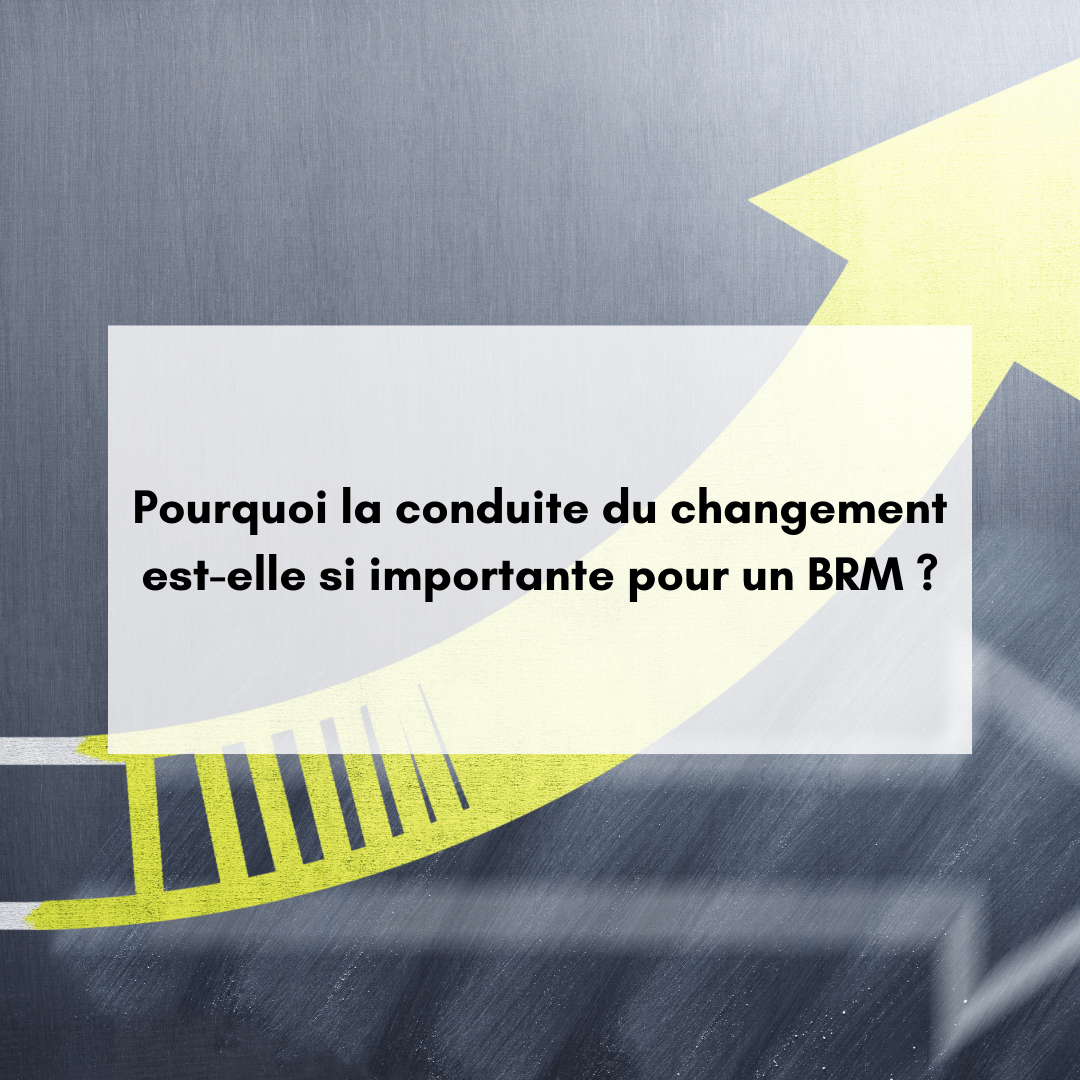 Pourquoi la conduite du changement est-elle si importante pour un BRM ?